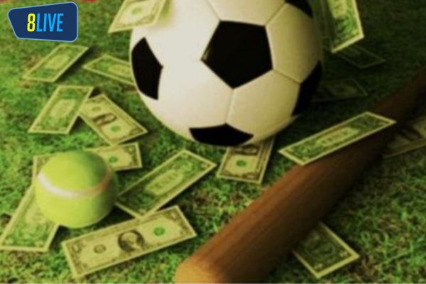 cac cau hoi bet thu thuong gap khi dang ky 8live Các câu hỏi mà bet thủ thường gặp